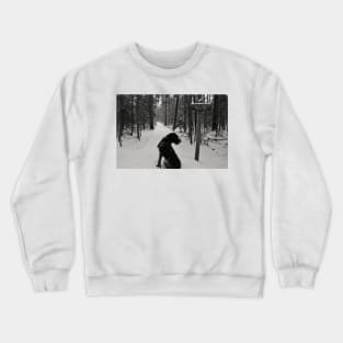 Monty at Star Lake Crewneck Sweatshirt